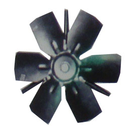 FZZ